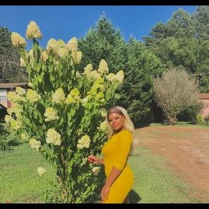 Yellow ruffle bodycon dress